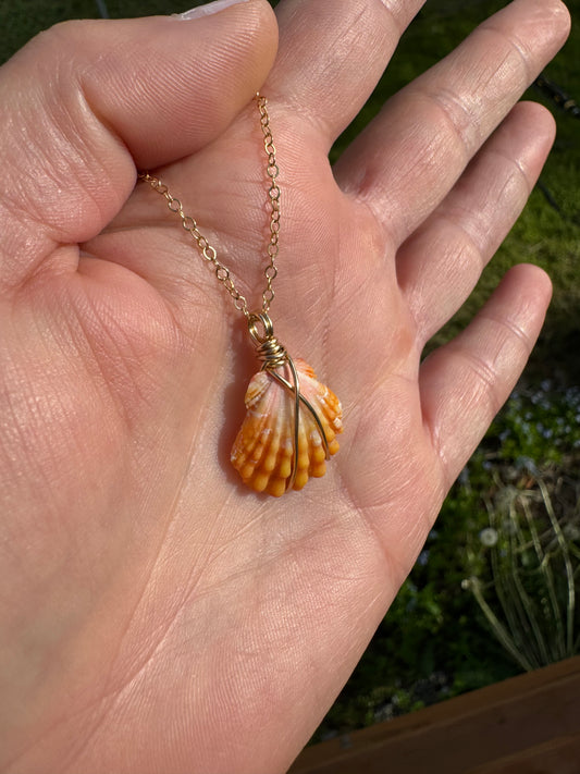 Sunrise shell Necklace- gold filled