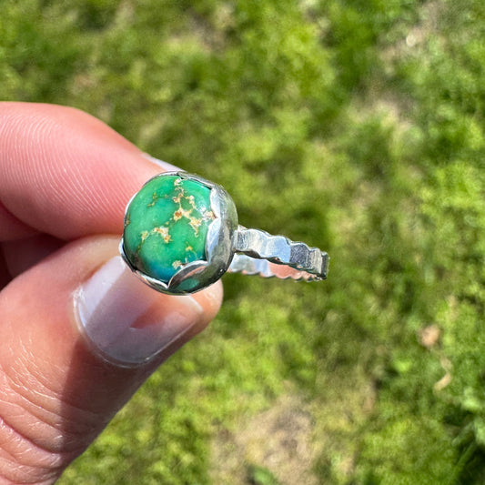 Sonoran Gold Turq. Ring + 5.5