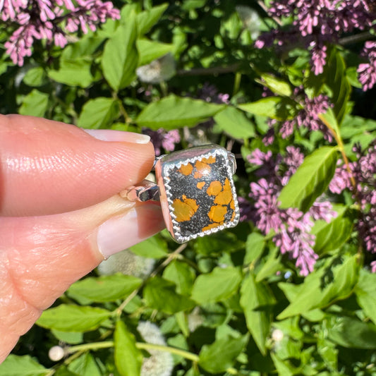 Treasure Mountain Turquoise Ring | Size 6.5
