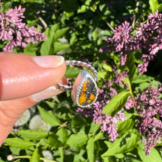 Treasure Mountain Turquoise Ring | Size 5