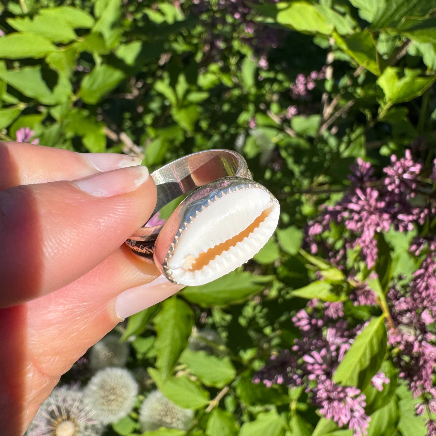 Cowrie Ring | Size 9