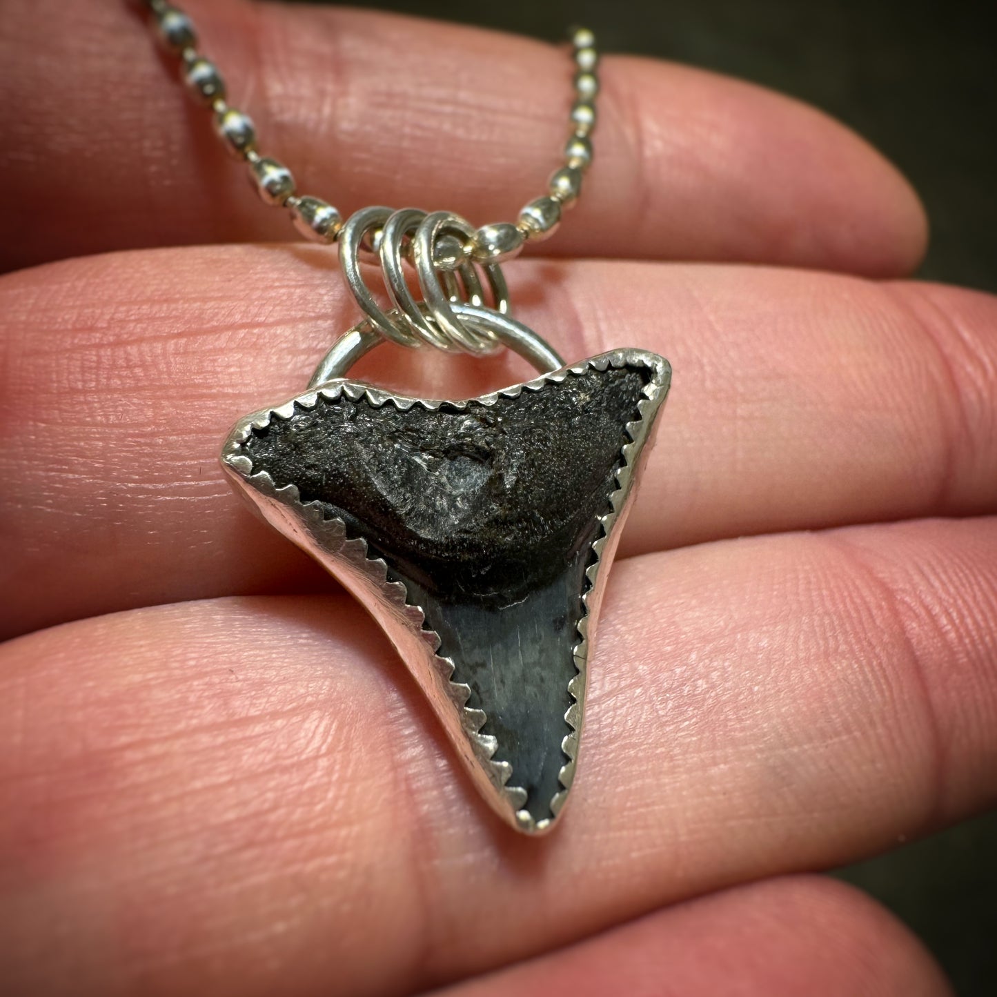 Shark Tooth Necklace #2