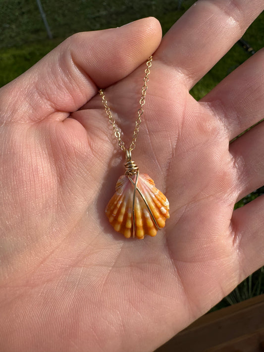 Sunrise shell Necklace- gold filled