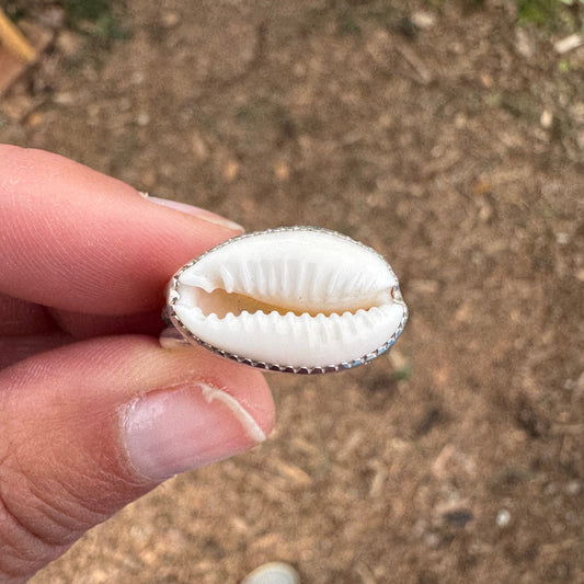 Cowrie Ring | Size 9