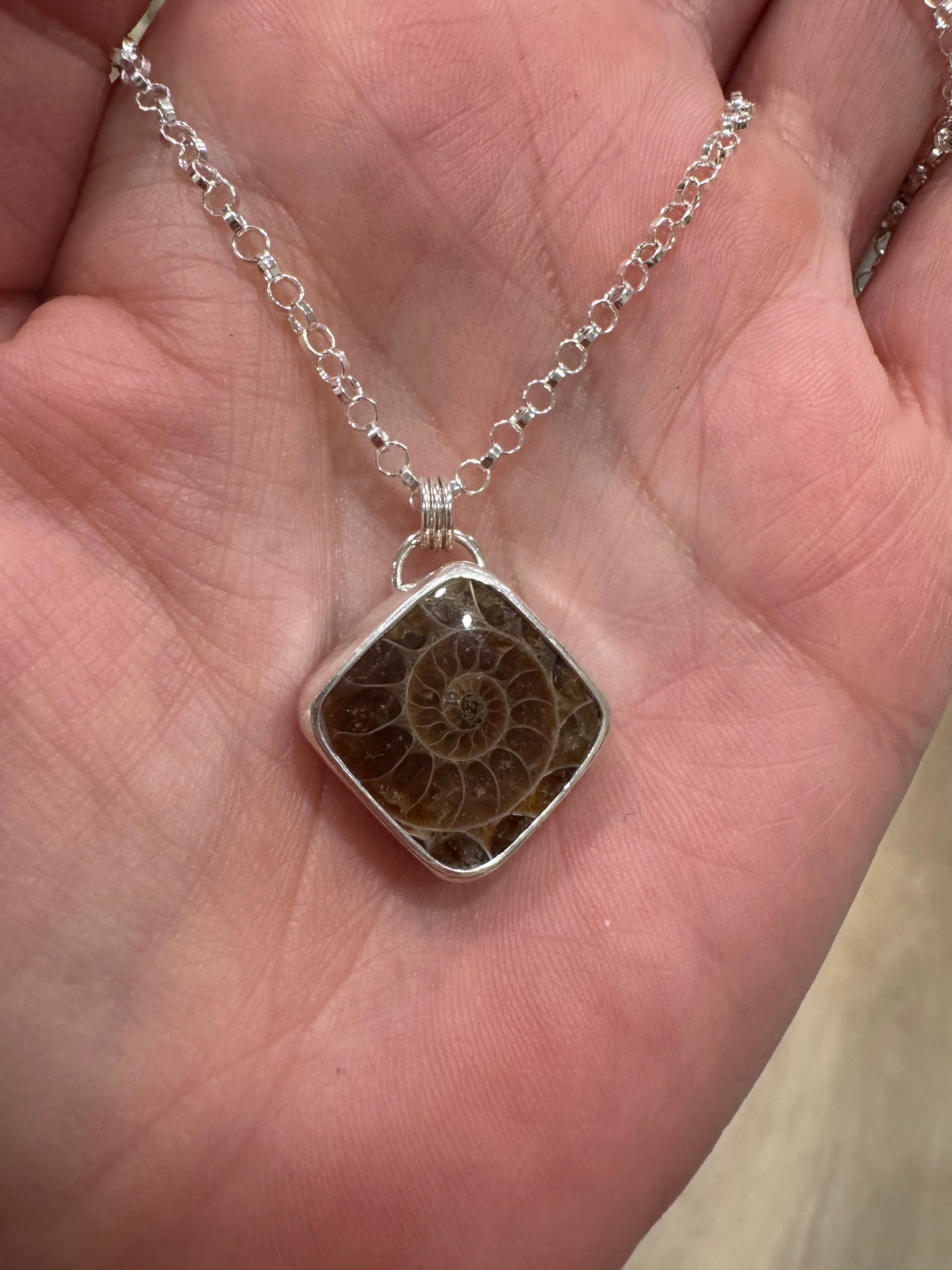 Ammonite Fossil Necklace | 18in