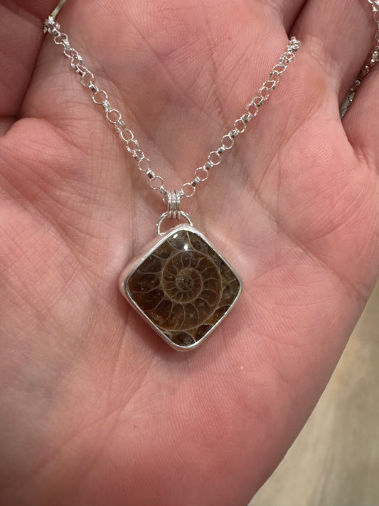 Ammonite Fossil Necklace | 18in