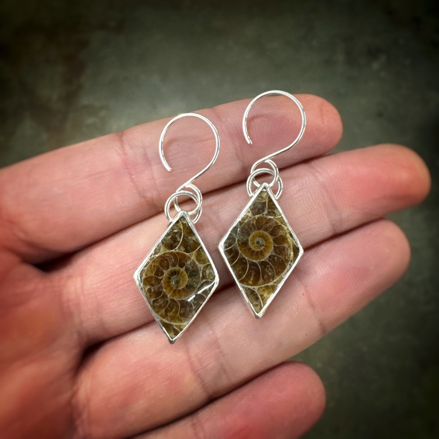 Ammonite Fossil Earrings