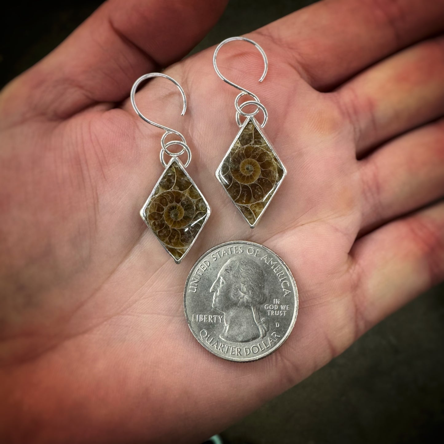 Ammonite Fossil Earrings