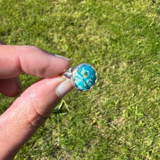 Fox Turquoise Ring No. 3 | Size 5