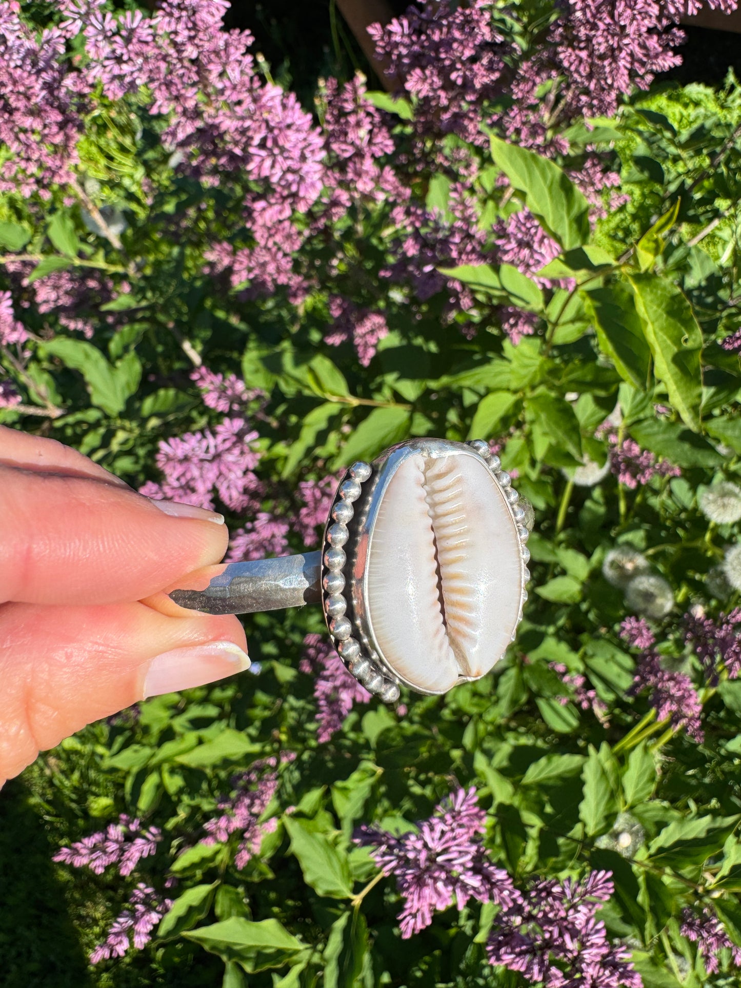 Hawaiian Cowrie Shell Cuff | Size M