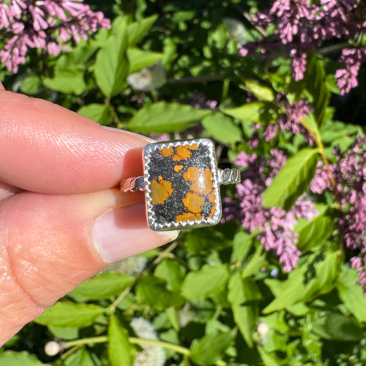 Treasure Mountain Turquoise Ring | Size 6.5