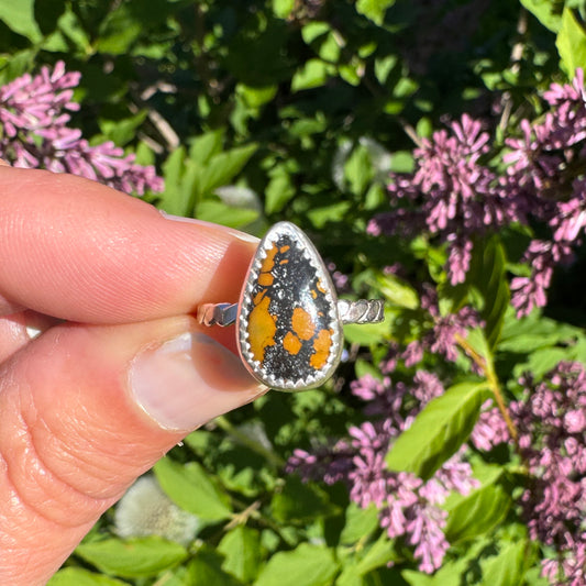 Treasure Mountain Turquoise Ring | Size 5