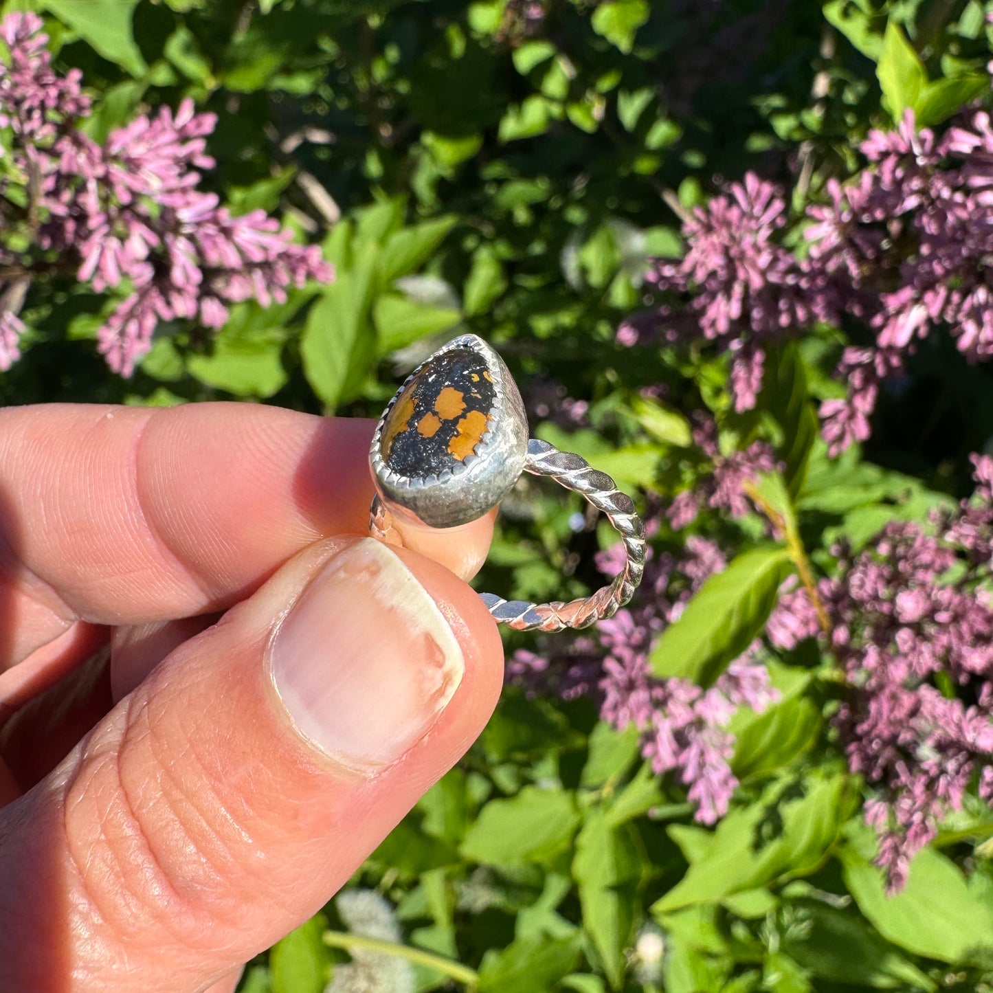 Treasure Mountain Turquoise Ring | Size 5