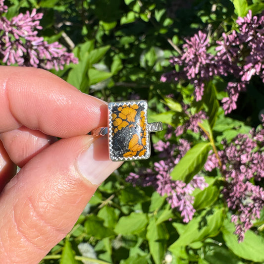 Treasure Mountain Turquoise Ring | Size 5.25