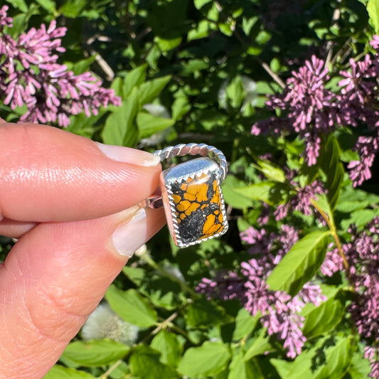 Treasure Mountain Turquoise Ring | Size 5.25