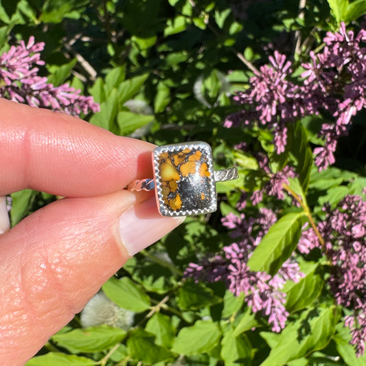Treasure Mountain Turquoise Ring | Size 8.25