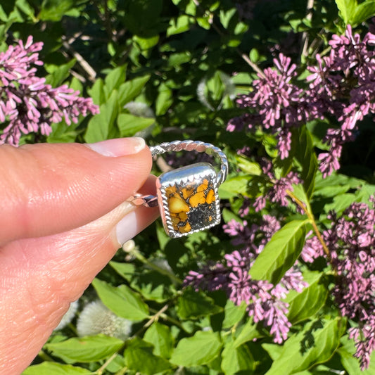 Treasure Mountain Turquoise Ring | Size 8.25
