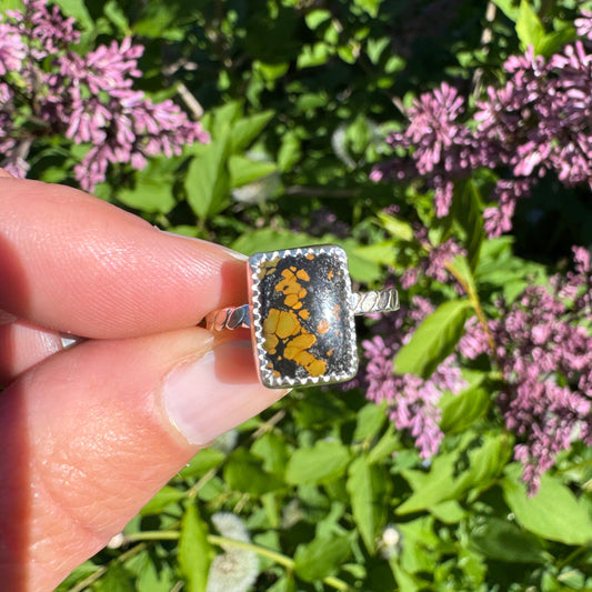 Treasure Mountain Turquoise Ring | Size 8.5
