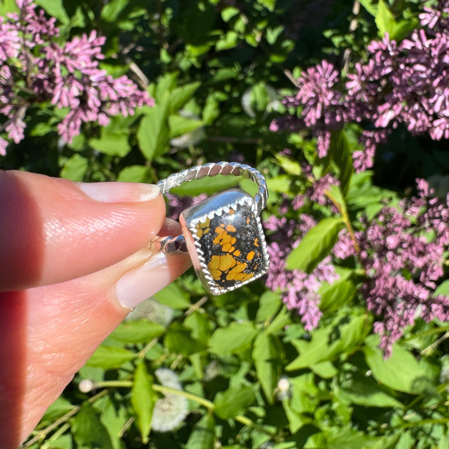Treasure Mountain Turquoise Ring | Size 8.5