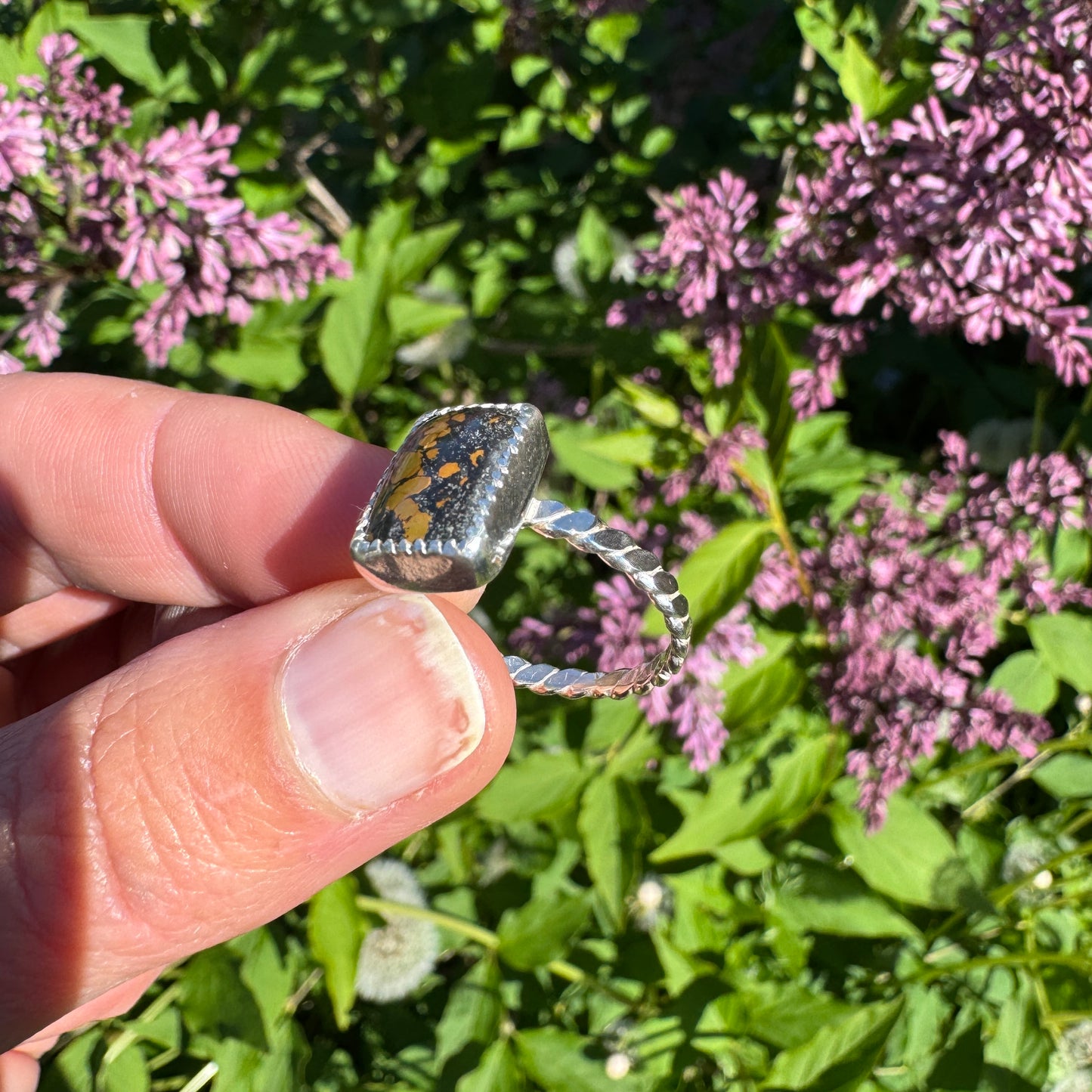 Treasure Mountain Turquoise Ring | Size 8.5