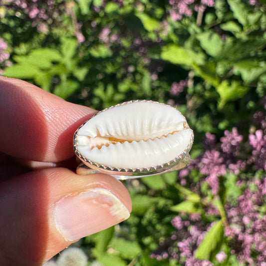 Cowrie Ring | Size 9