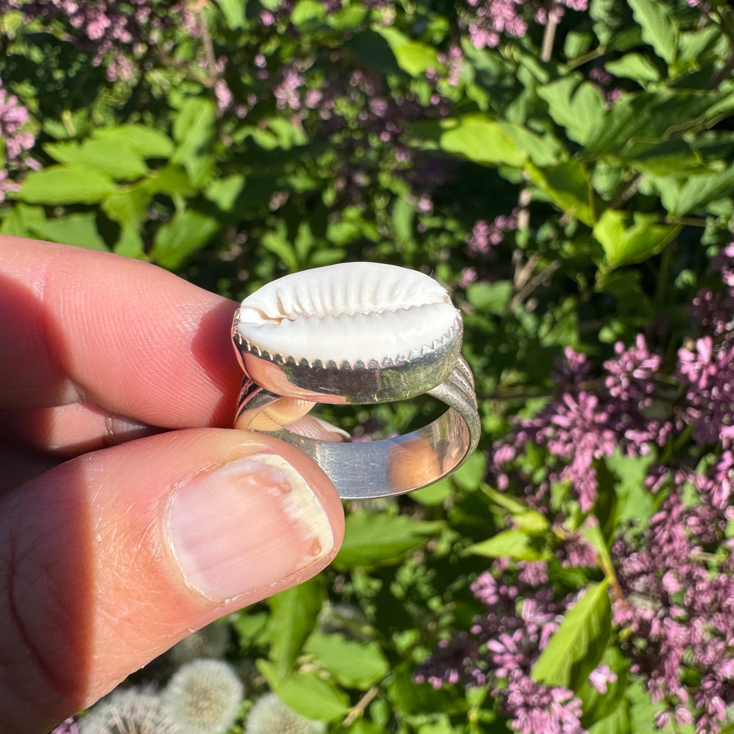 Cowrie Ring | Size 9