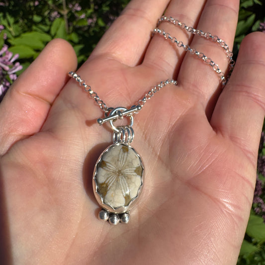 Fossilized Sand Dollar Necklace