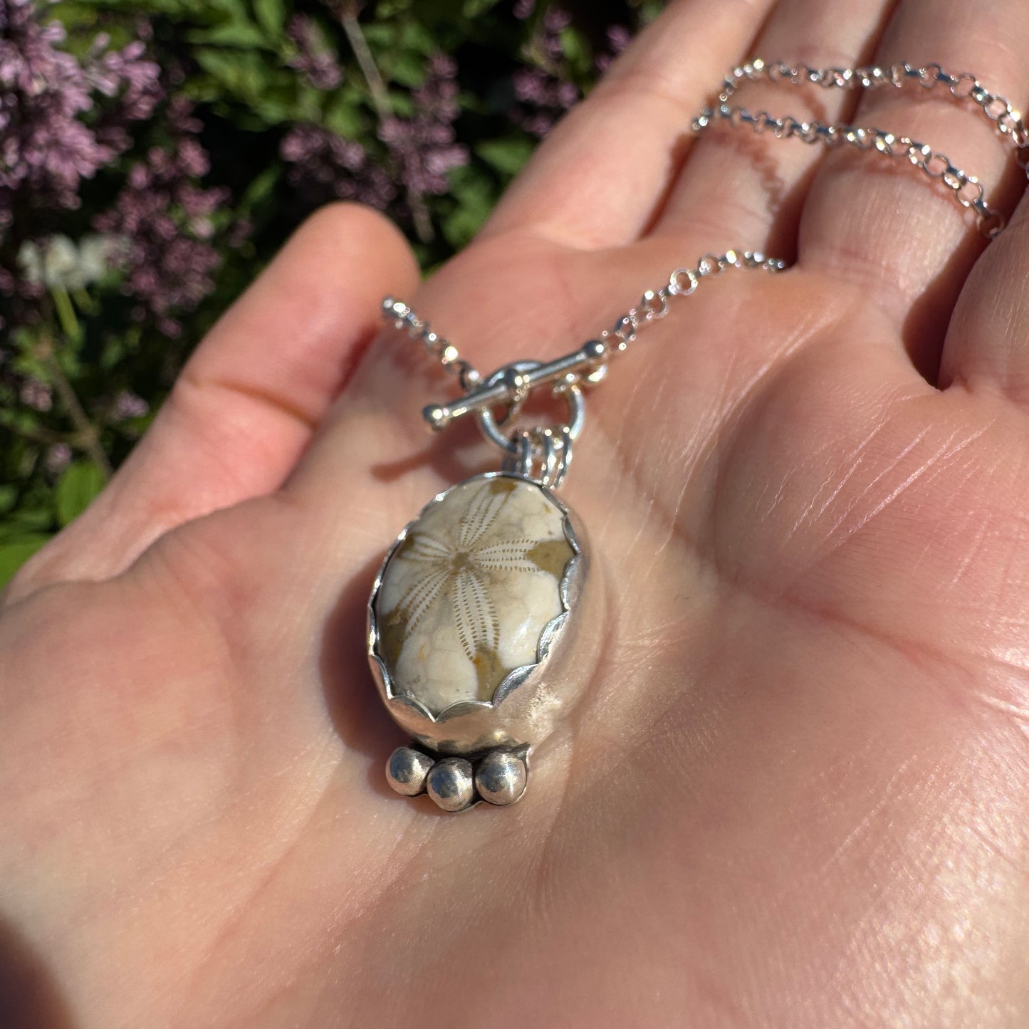 Fossilized Sand Dollar Necklace