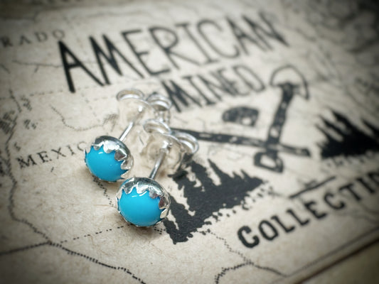 BlueBird Turquoise™ stud earrings