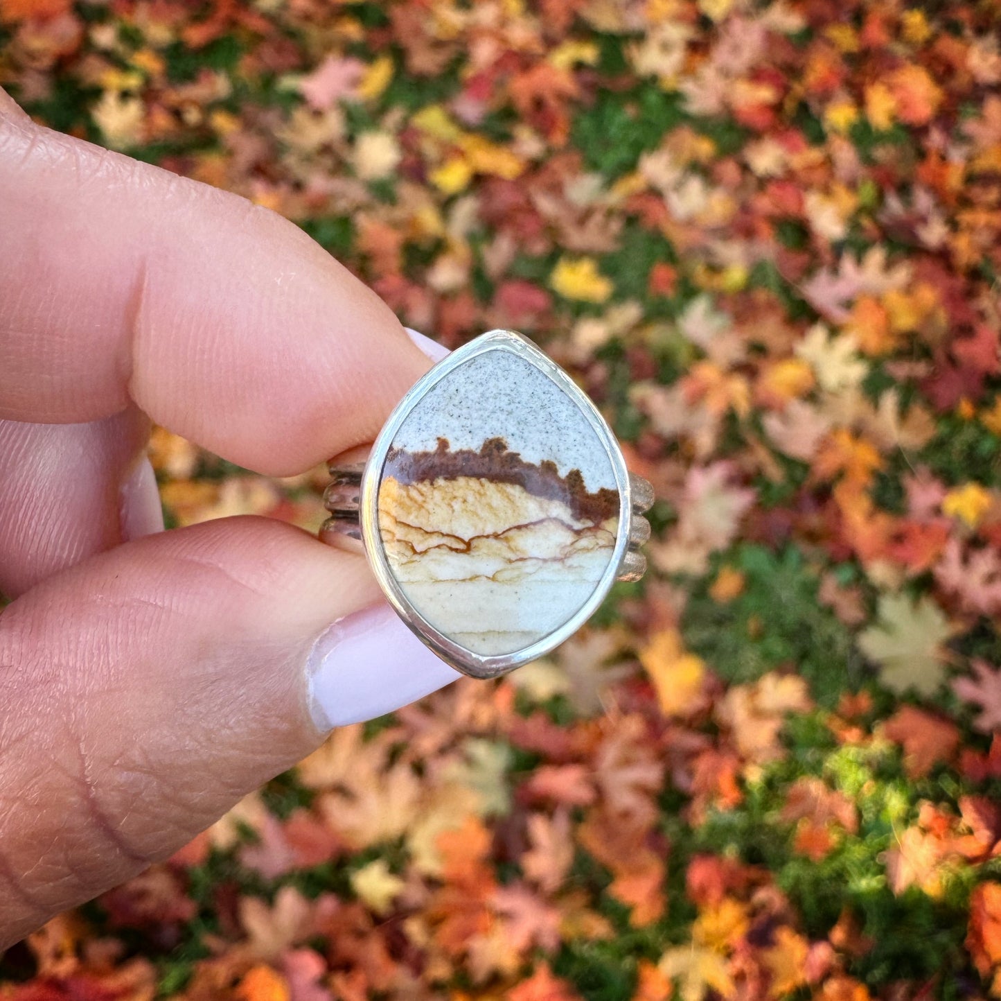 Chicken Track Jasper Ridge Ring | Size 8