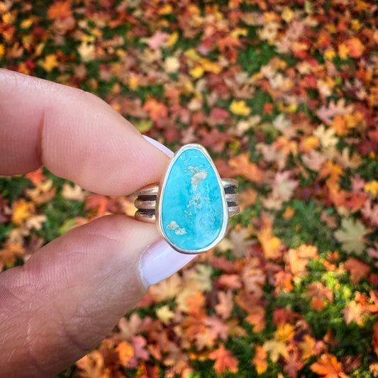 Fox Turquoise Ridge Ring | Size 5.5