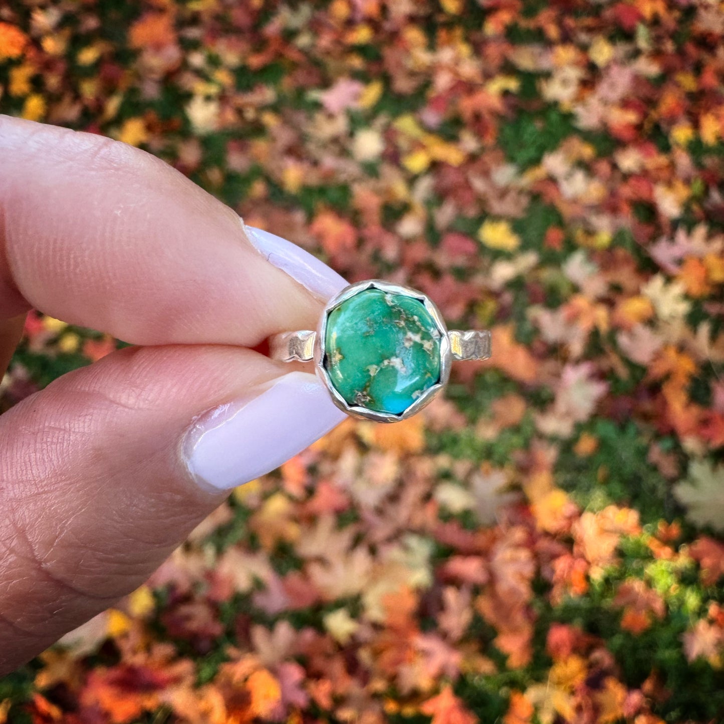 Sonoran Gold Turq. Ring + 5.5