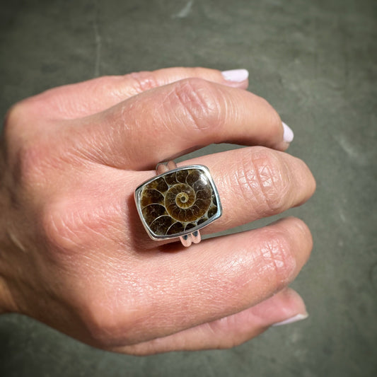 Ammonite Fossil Ring - Finish in your size