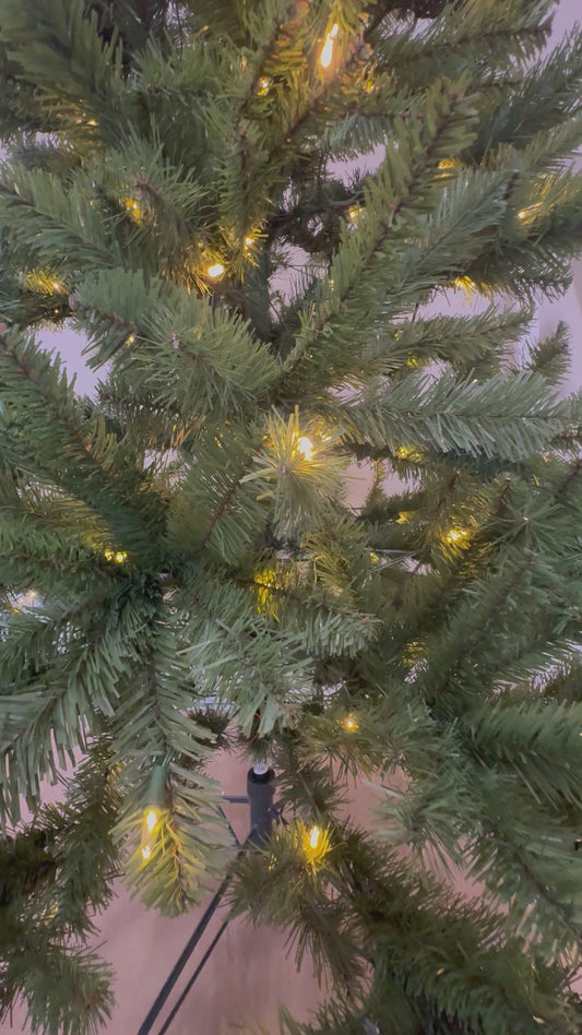 #8 Turquoise Ascent Earrings